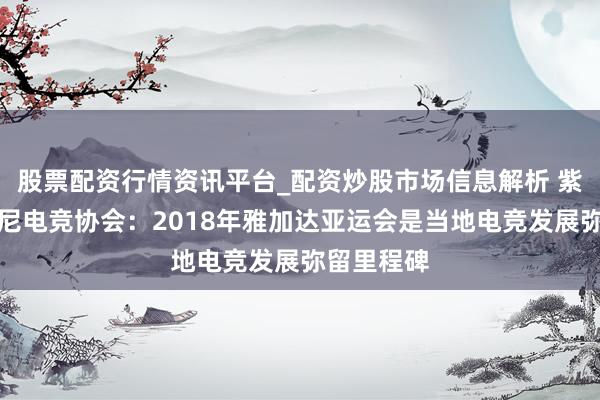 股票配资行情资讯平台_配资炒股市场信息解析 紫牛专访印尼电竞协会：2018年雅加达亚运会是当地电竞发展弥留里程碑